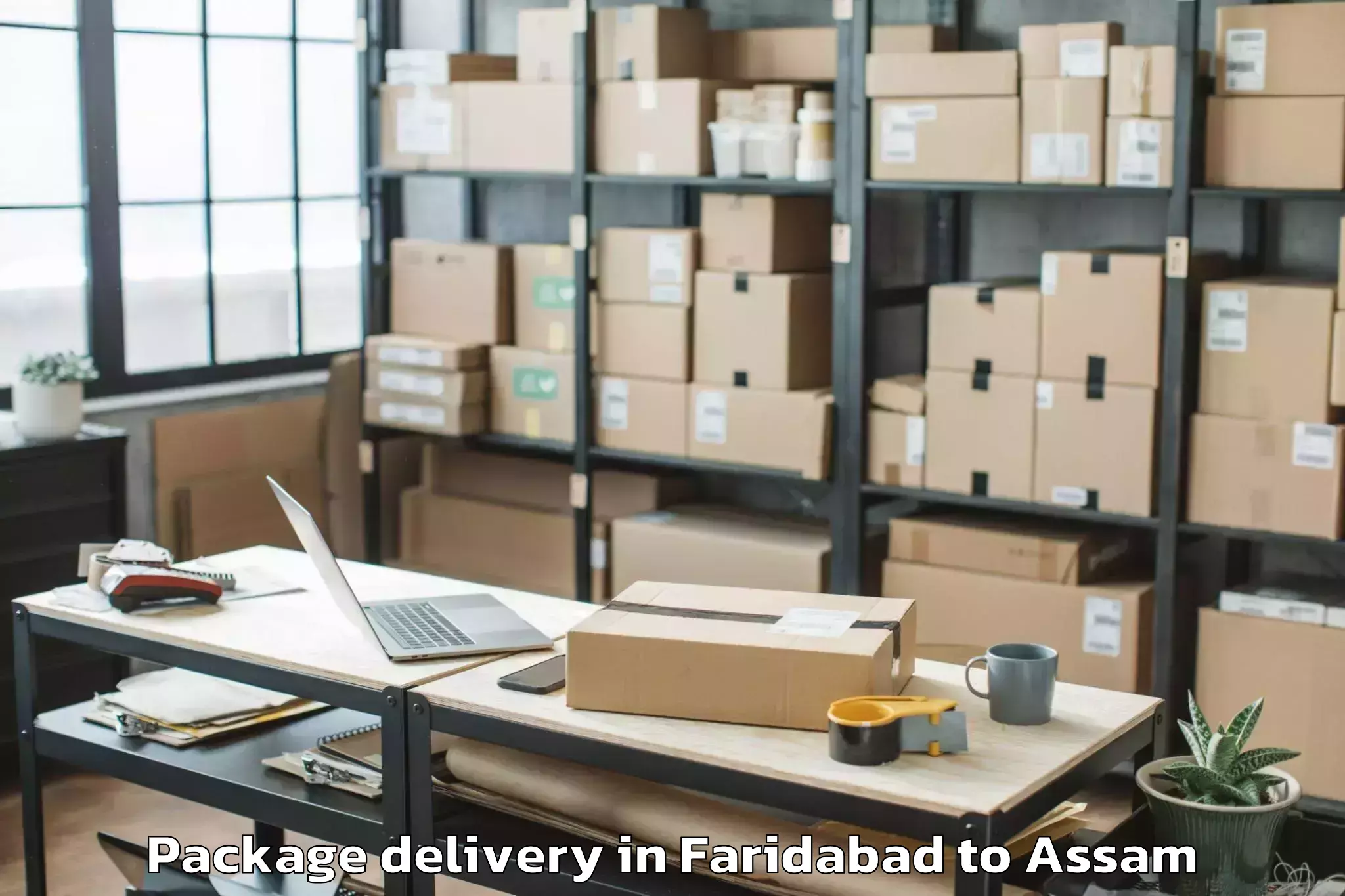 Easy Faridabad to Abhilashi University Guwahati Package Delivery Booking